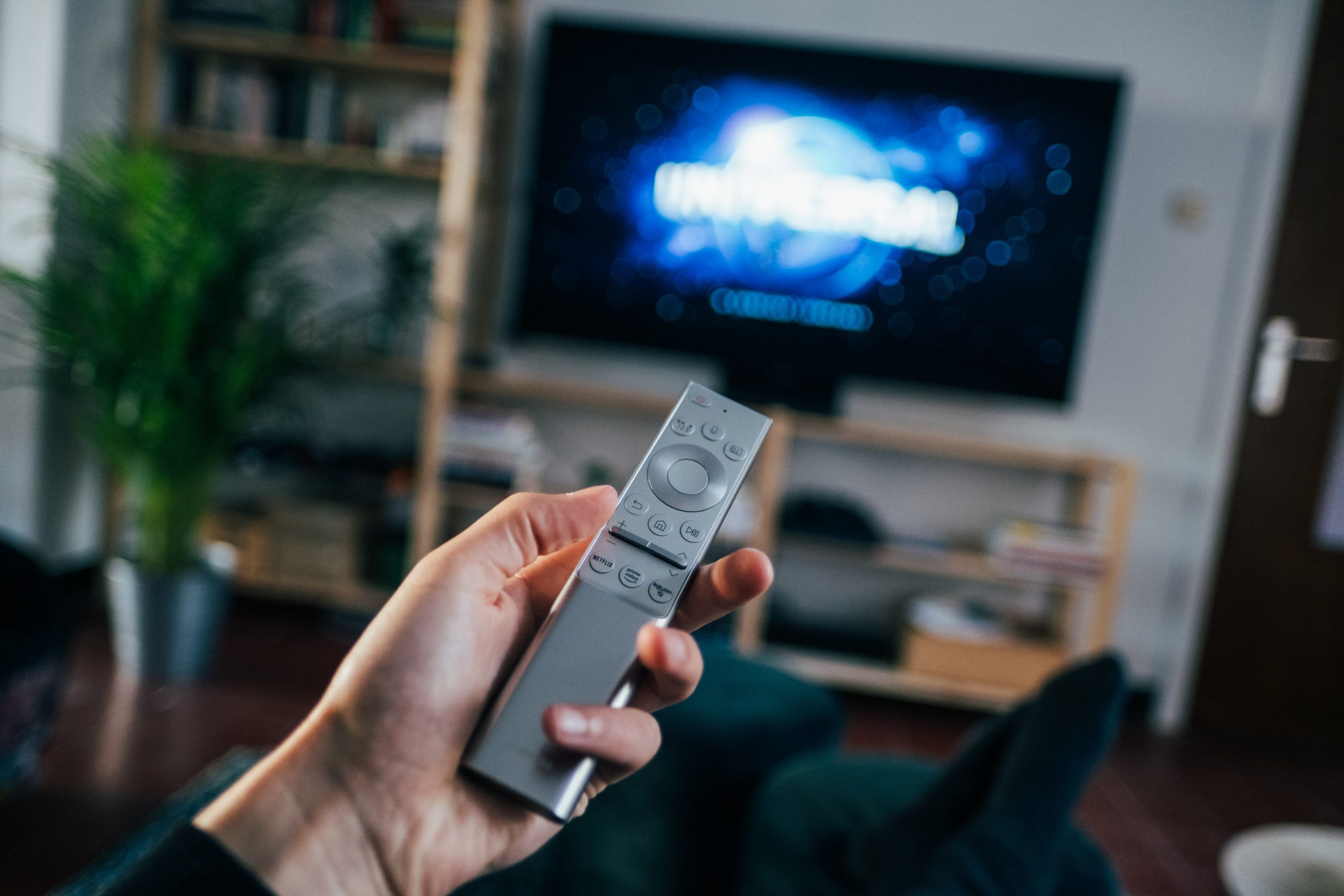 Man Holding Remote to TV